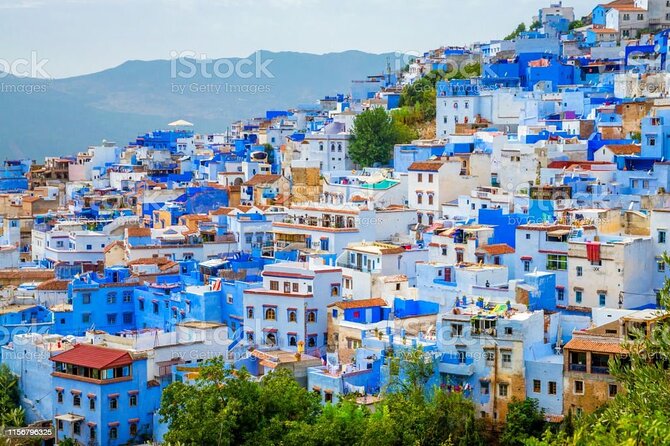 Small-Group Day Trip From Fes to Chefchaouen - Professional Tour Guide