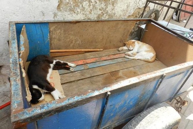 Small-Group Day Trip From Marrakech - Traditional Argan Oil Factory Visit