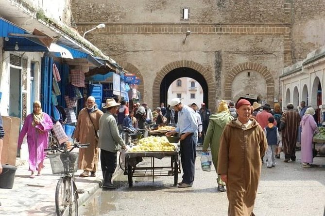 Small-Group Day Trip From Marrakech - Tour Schedule Information