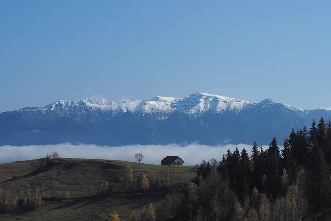 Small-Group Day Trip in Romanian Authentic Mountain Villages From Brasov - Booking Information