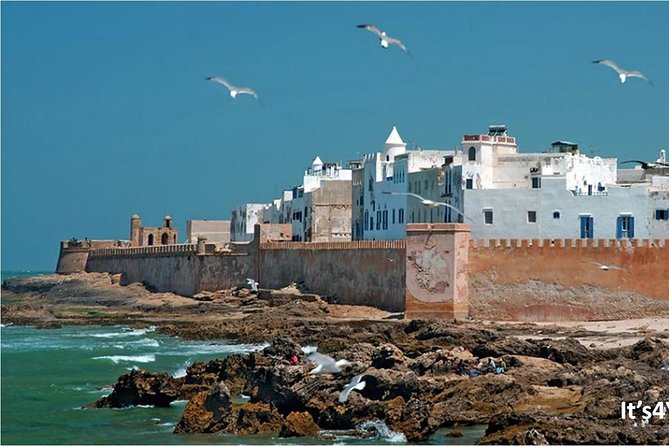 Small-Group Day Trip to Essaouira From Marrakech - The Sum Up