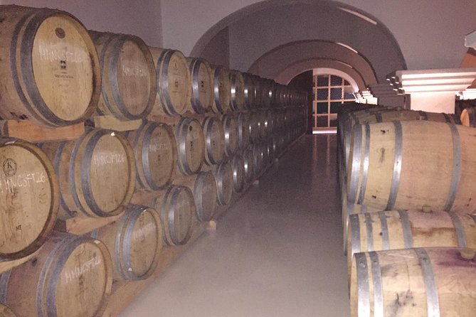 Small Group Day Trip to Evora and Monsaraz From Lisbon With Wine Tasting - Itinerary Overview