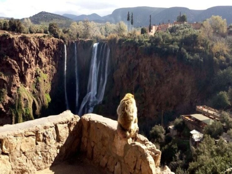 Small Group Day Trip to Ouzoud Waterfall - Experience Highlights