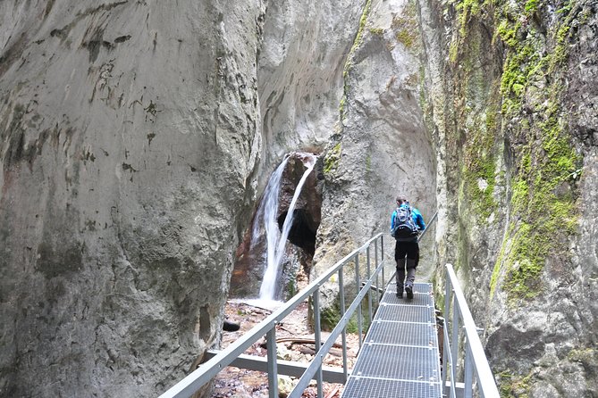 Small-Group Day Trip to the Epic 7 Ladders Canyon From Brasov - Tour Details