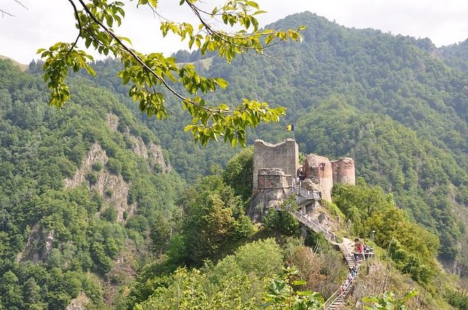 Small-Group Day Trip Transfagarasan Road and Poienari Fortress From Brasov - Tour Details