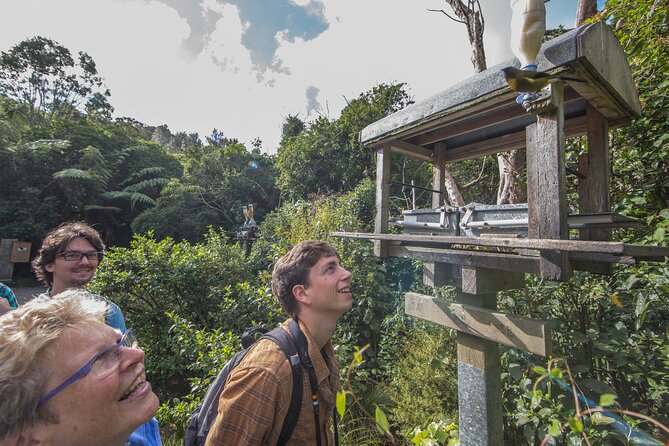 Small Group Daytime 2-Hour Eco Wildlife Tour at Zealandia - Overview of Zealandia