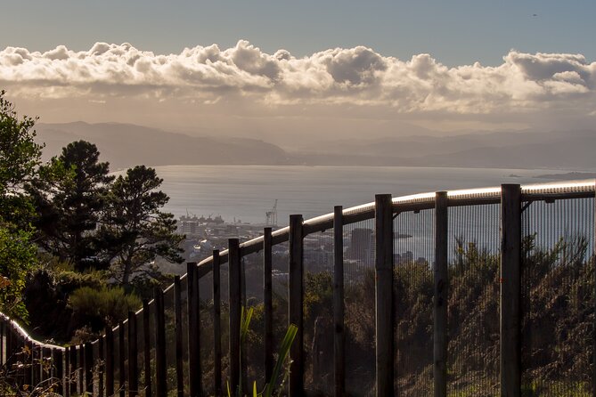 Small Group Daytime 2-Hour Eco Wildlife Tour at Zealandia - What To Expect