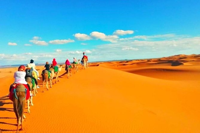 Small Group Desert Tour From Marrakech to Sahara in 3 Days - Itinerary Highlights