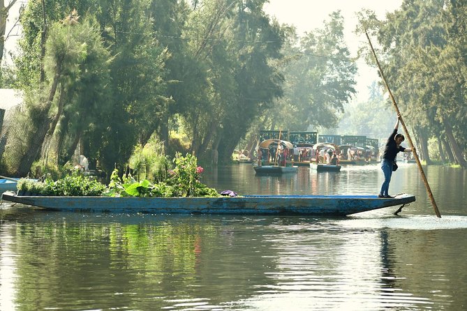 Small Group: Discover Xochimilco, Coyoacán, Frida Kahlo Museum and House - The Sum Up and Final Thoughts on the Tour