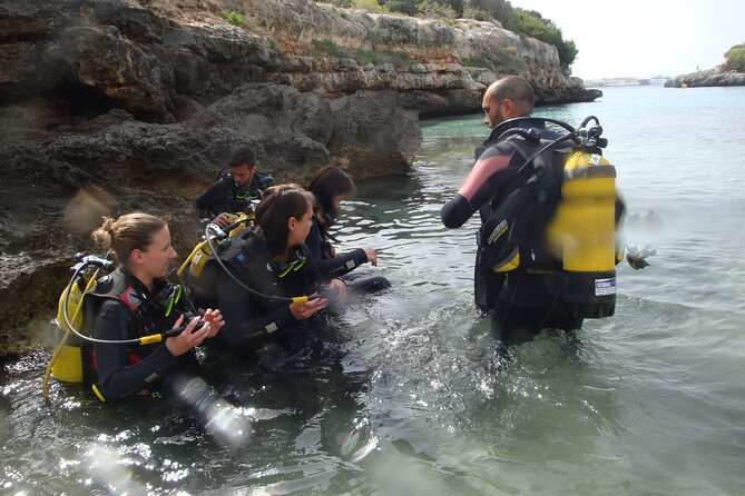 Small Group Diving Adventure in Menorca - Common Questions