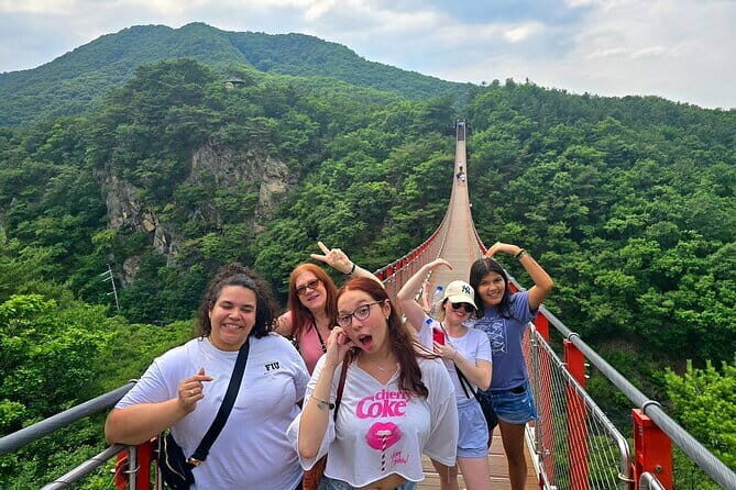 Small Group DMZ Tour from Seoul Korea with North Korean Defector - Good To Know