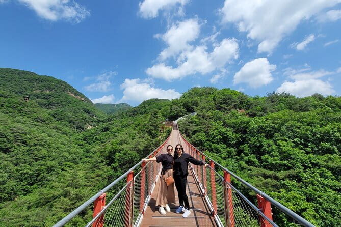 Small Group DMZ Tour from Seoul Korea with North Korean Defector - Transportation, Timing, and Group Dynamics