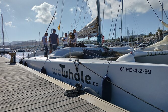 Small Group Dolphin Sunset Tour on Electric Catamaran Lanzarote - Additional Information