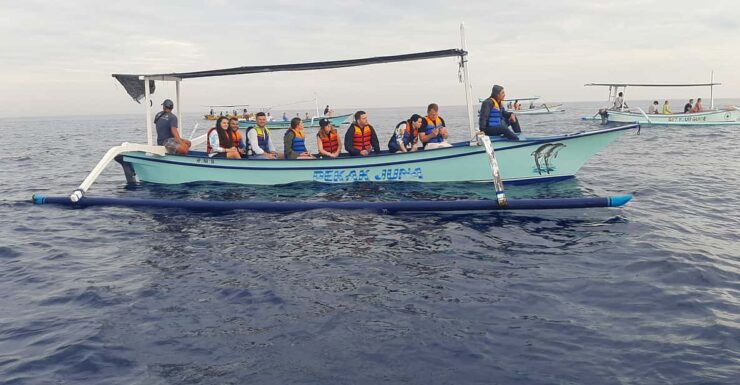 Small Group Dolphin Tour, Sunrise, Swim With Dolphin Lovina - Key Points