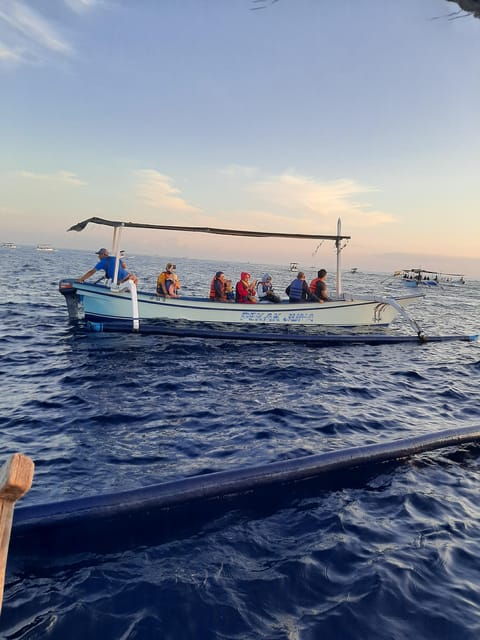 Small Group Dolphin Tour, Sunrise, Swim With Dolphin Lovina - Tips for Enjoying the Tour