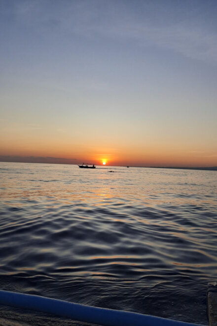 Small Group Dolphin Tour, Sunrise, Swim With Dolphin Lovina - Booking Process and Contact Information