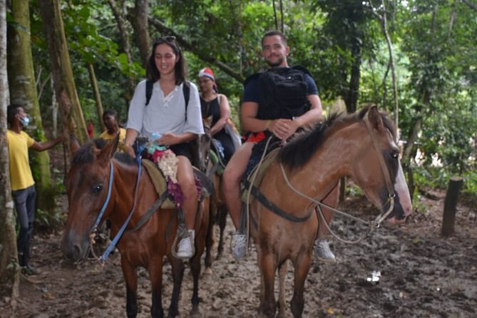 Small Group Dominican Experience - Cultural Half-Day - Tour Highlights