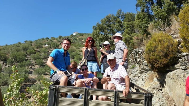 Small Group: Douro Valley Wine Tasting from Porto - Good To Know
