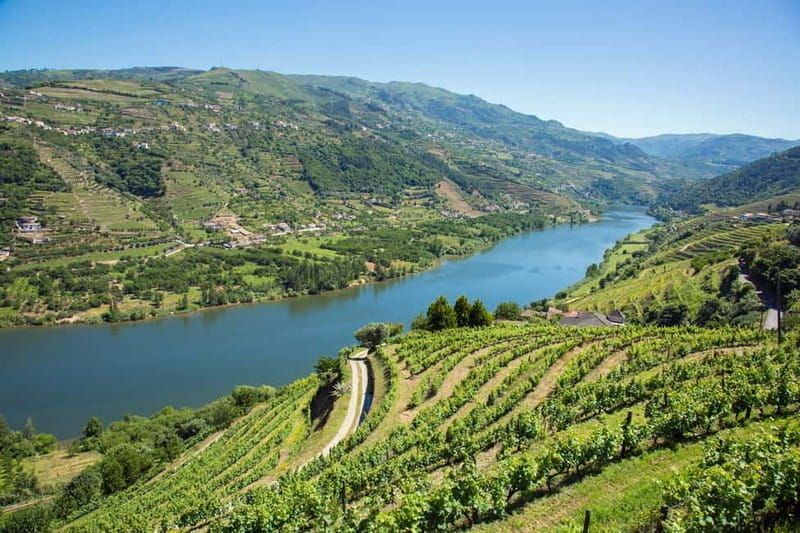 Small Group: Douro Valley Wine Tasting from Porto - Who Will Love This Experience?