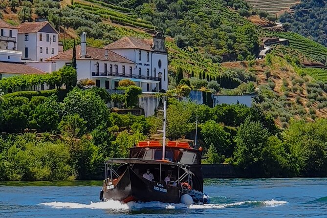 Small Group Douro Wine Valley Tour With Lunch and Wine Tasting - Pricing and Operator