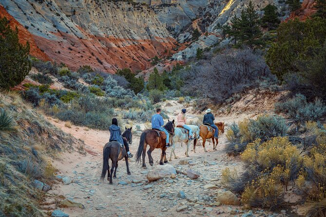 Small-Group East Zion White Mountain Horseback Ride - Animals and Equipment Provided