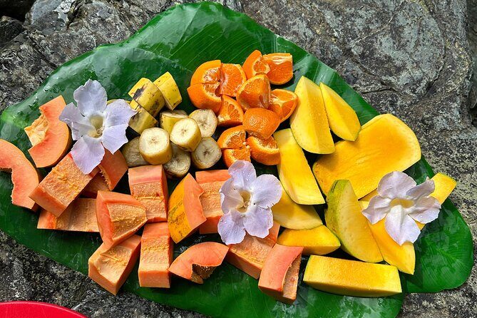 Small-Group El Yunque Rainforest & Transportation Luquillo Beach - Introduction to the Tour: A Balanced Mix of Nature and Culture