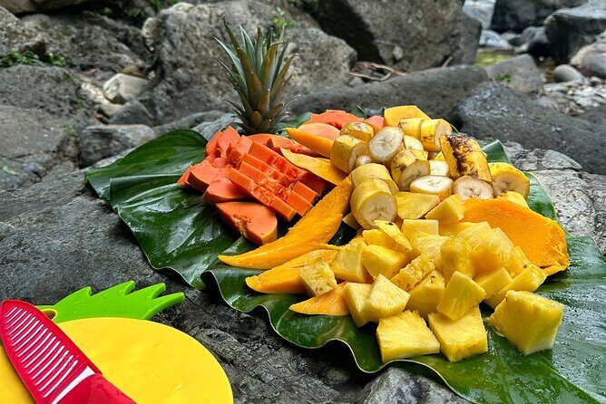 Small-Group El Yunque Rainforest with Transport Half Day - The Sum Up