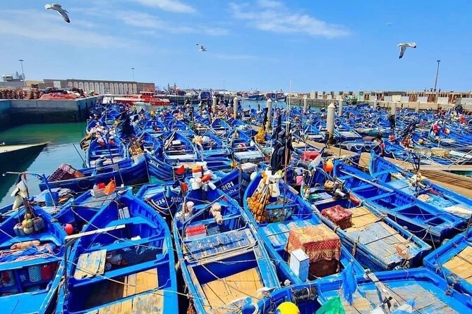 Small Group Essaouira Day Trip From Agadir With Guide - Good To Know
