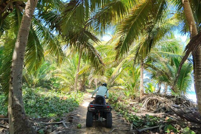 Small Group Exclusive 4x4 ATV Punta Cana: Jungle & Wild Beaches! - Authentic Experiences & Top Highlights  