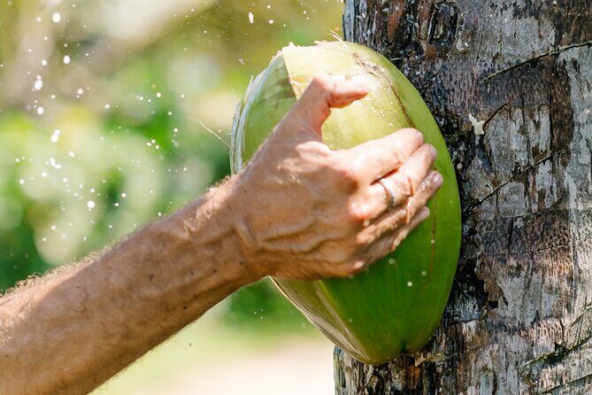 Small Group Exclusive 4x4 ATV Punta Cana: Jungle & Wild Beaches! - Why It’s a Great Choice  