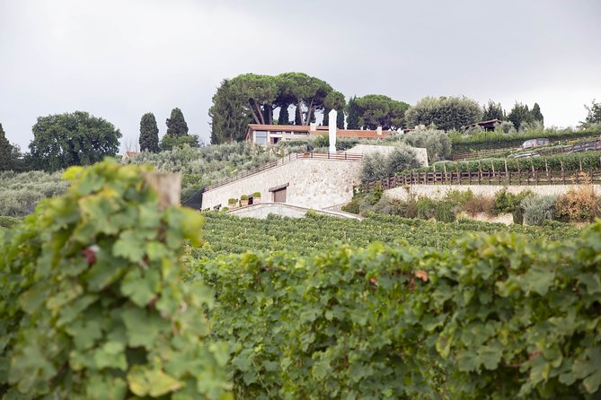 Small-Group Exclusive Winery and Wine Tasting Tour in Frascati - Directions