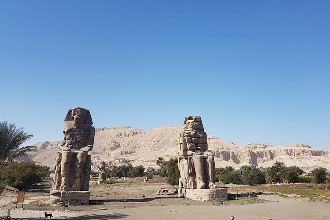 Small Group Excursion to Luxor From Makadi / Safaga / Soma Bay - Pricing and Value