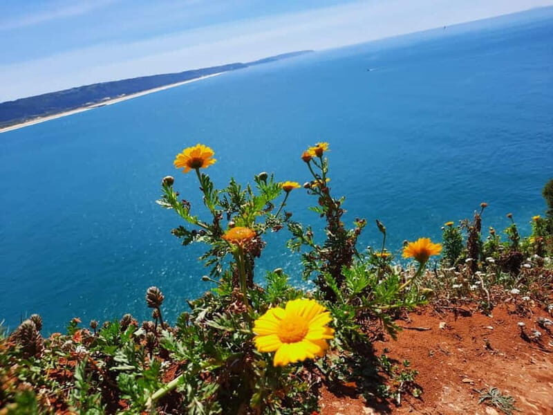 Small Group Excursion to Nazaré, Alcobaça and Obidos from Lisbon - The Sum Up