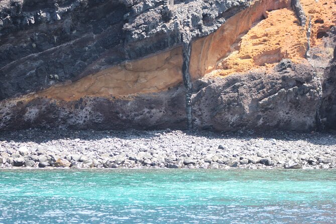 Small Group Excursion Whales and Dolphin Watching Los Gigantes - Opportunity for Snorkeling in Crystal Clear Waters