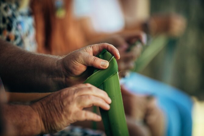 Small Group Experience of Te Ao Maori  - North Island - Sharing a Meal With a MāOri Family