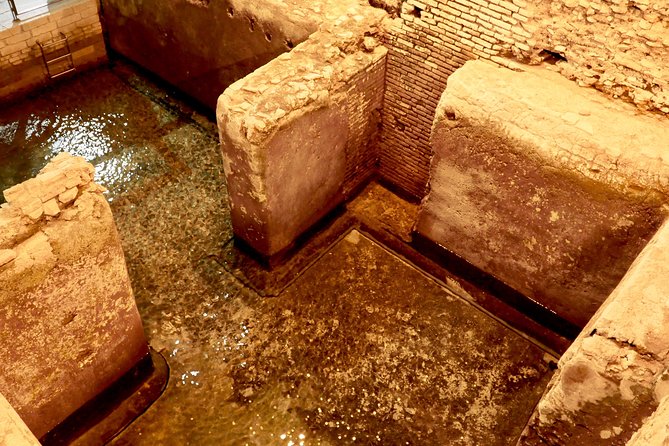 Small-Group Express Tour of Trevi Fountain With Undergrounds - Traveler Photos