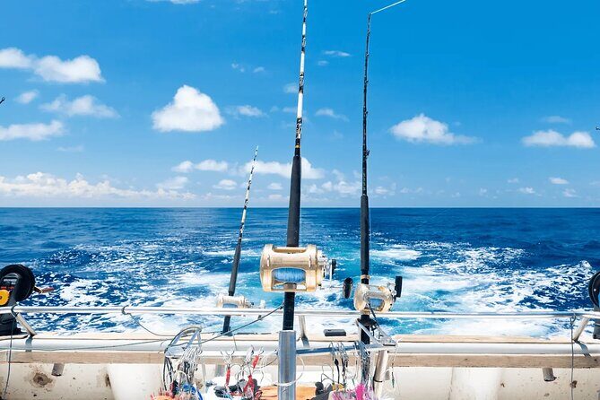 Small Group Fishing Tour in Bavaro - Overview