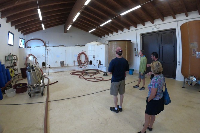 Small-Group Food and Wine Tour From Cagliari - Traveler Photos