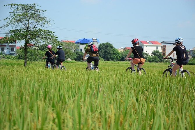 Small-Group Full-Day Bicycle Tour Around Rural Hanoi - Tour Highlights