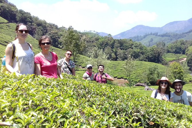 Small-Group Full-Day Guided Mountain Hiking Around Munnar - Cancellation Policy