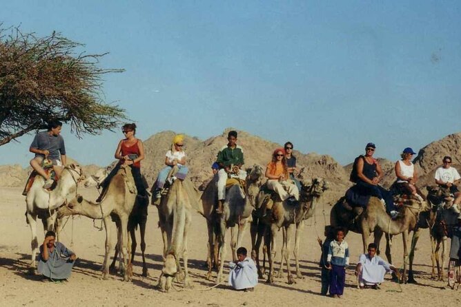 Small Group Full Day Hurghada Experience With BBQ and Show - Pickup Logistics
