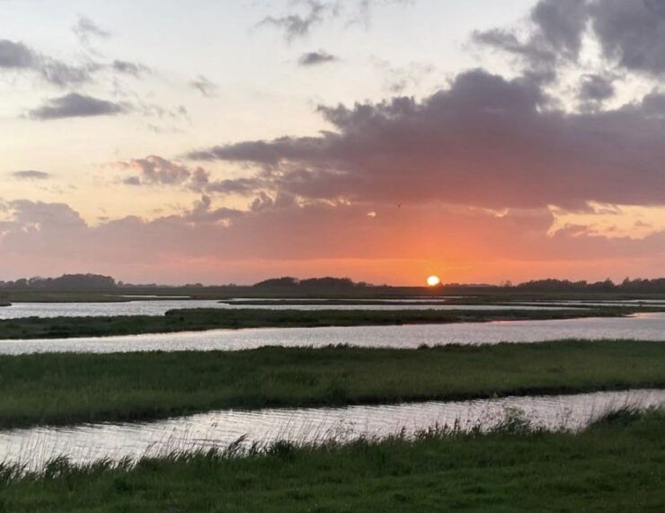 Small Group Full Day Island Tour to Texel From Amsterdam - Tour Experience