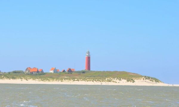 Small Group Full Day Island Tour to Texel From Amsterdam - The Sum Up