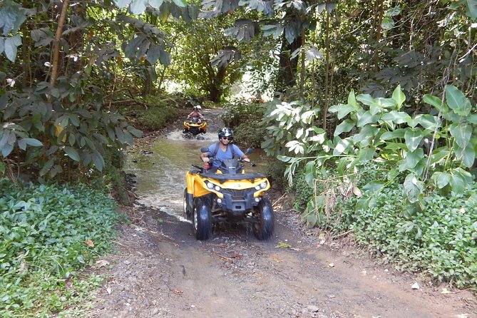 Small-Group Full-Day Jet Ski and Quad Bike Adventure, Moorea - Positive Experiences and Highlights