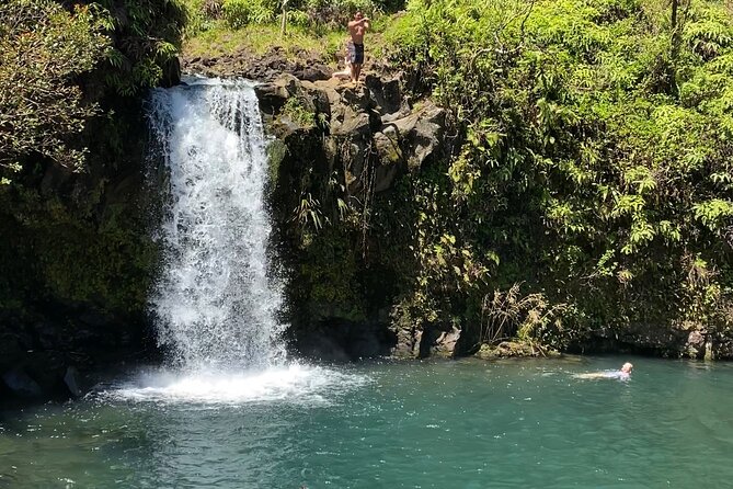 Small-Group Full-Day Maui Nature Tour - Tour Overview and Inclusions