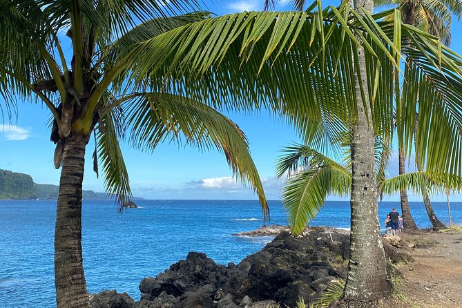 Small-Group Full-Day Maui Nature Tour - Negative Experience Review