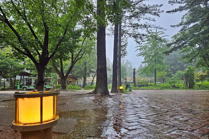 Small-Group Full-Day Tour in Nami Island From Seoul, Korea - Restrictions and Requirements