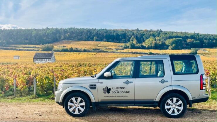 Small Group Full Day Tour in the Burgundy Vineyards - Tour Experience Highlights