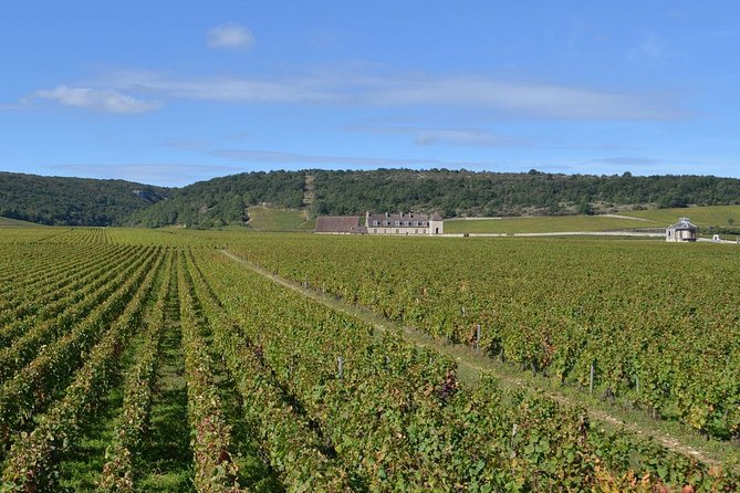 Small-Group Full-Day Tour of Côte De Nuits, Côte De Beaune Vineyards and Beaune Historical District - Tour Details