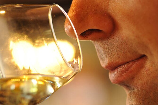 Small-Group Full-Day Tour of Côte De Nuits, Côte De Beaune Vineyards and Beaune Historical District - Knowledgeable Guides and Wine Education